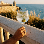 Olive tonic cocktail concept — Verandah Tonic