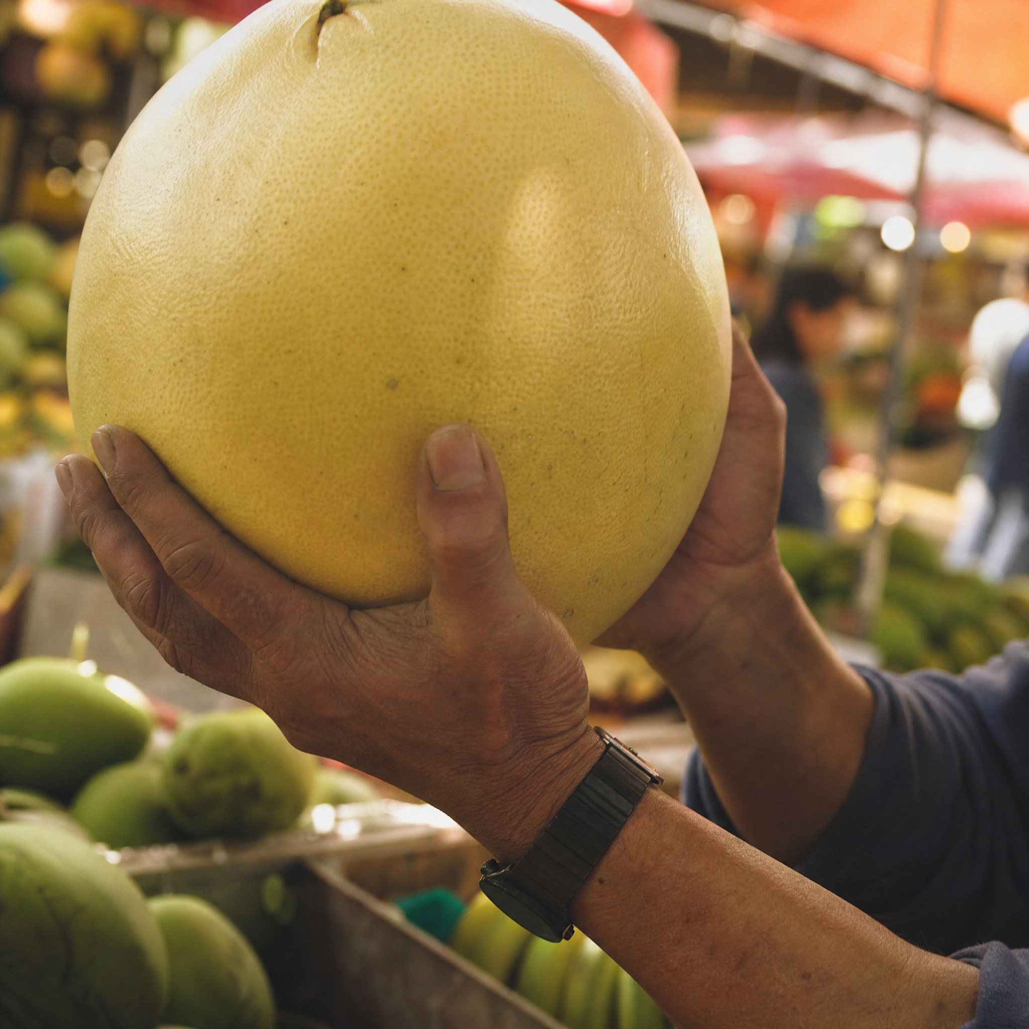 Pomelo citrus fruit — key botanical in Verandah Tonic