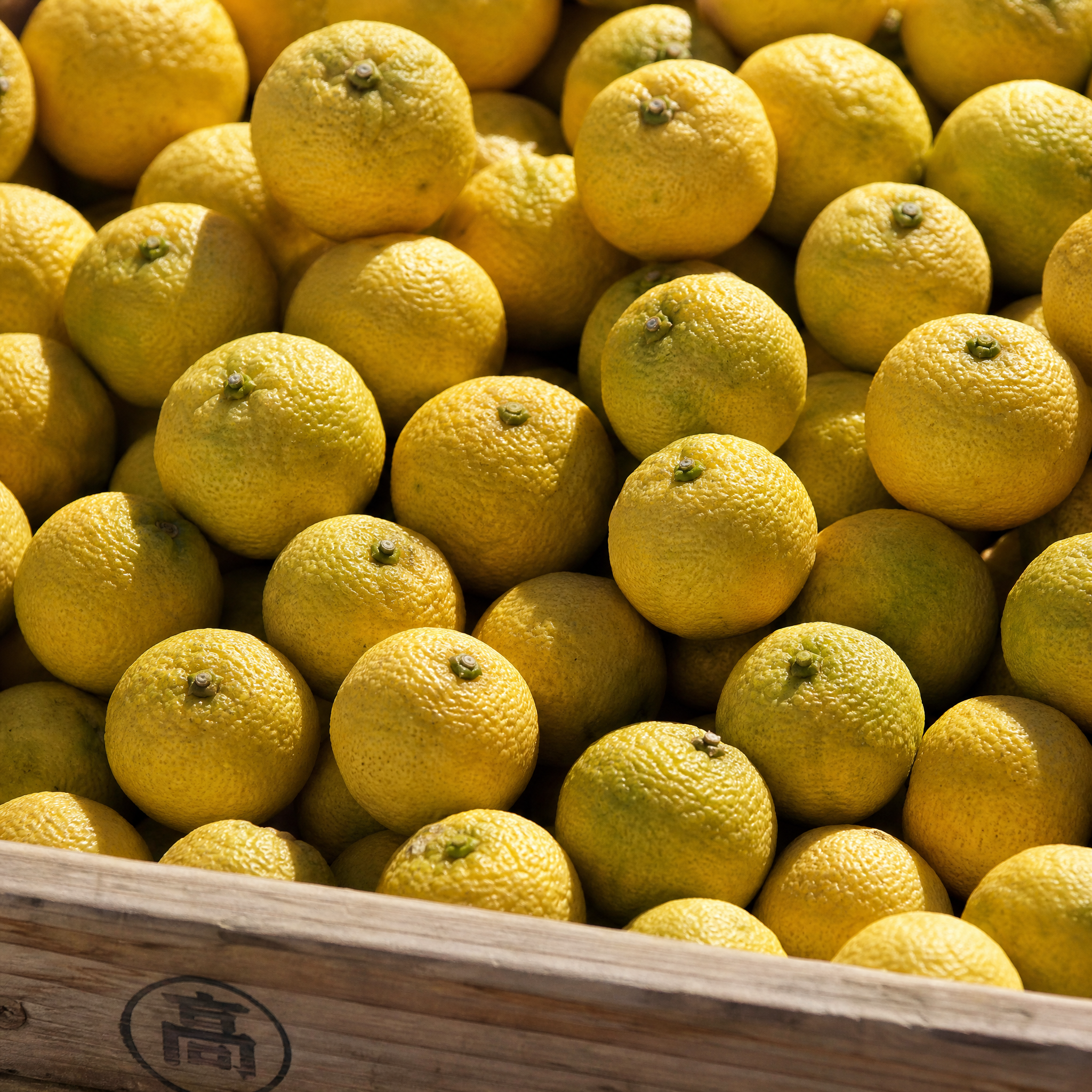 Yuzu citrus — Japanese botanical used in Verandah Tonic